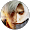 Dante Sparda