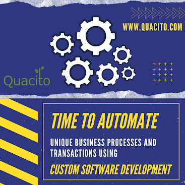 custom software development