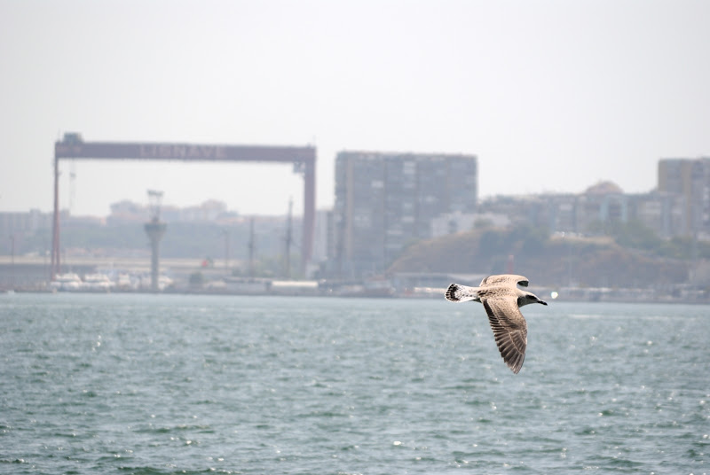 LISBOA_003.JPG