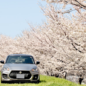 スイフトスポーツ ZC33S