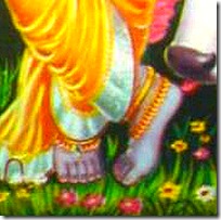 [Krishna's lotus feet]