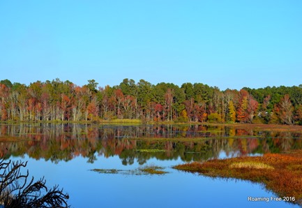 Cantey Bay