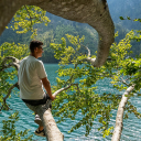 Sitting on a tree