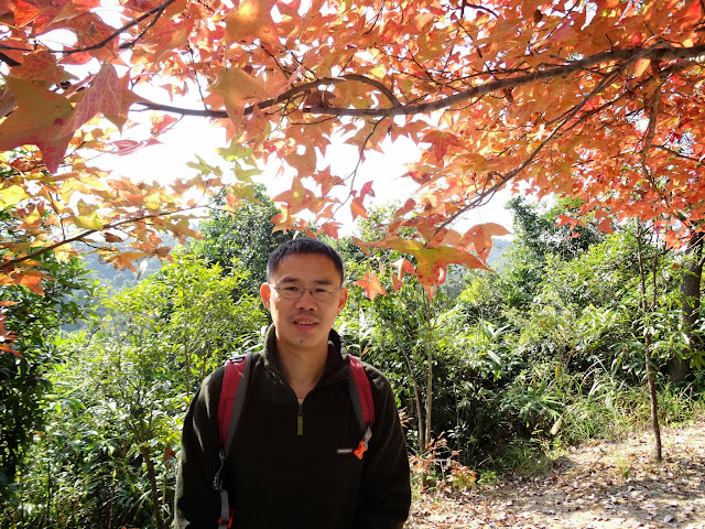 大棠紅葉