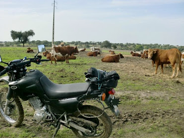 TV RURAL está de volta... CIMG4556