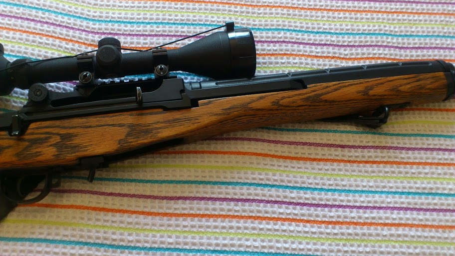 M14 Custom DSC_0555