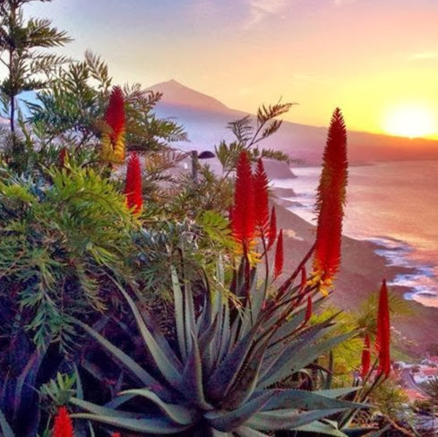 Islas Canarias y consejos