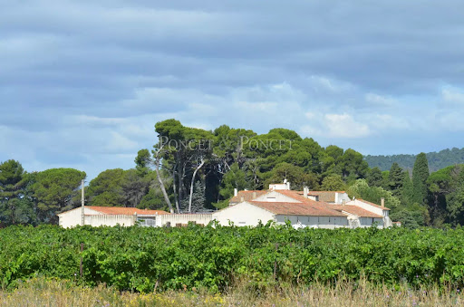 Property with pool 5