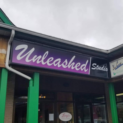 Unleashed Studio Dartmouth logo