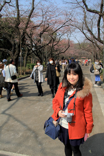 日本 東京 上野公園 櫻花