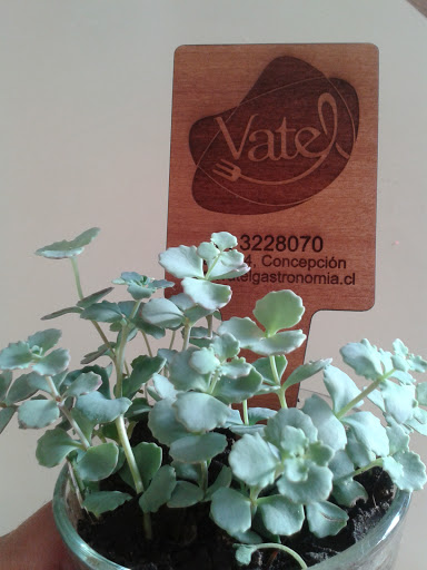 Vatel Gastronomía, Salas 14, Concepción, Octava Región del Bio Bio, Chile, Tienda de postres | Bíobío