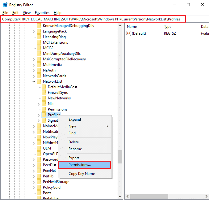 在注册表编辑器中导航到 HKEY LOCAL MACHINE SOFTWARE Microsoft WindowsNT CurrentVersion NetworkList Profiles。 修复 Microsoft Store 不工作 Windows 10