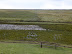 Fosdyke Marsh Nature Reserve