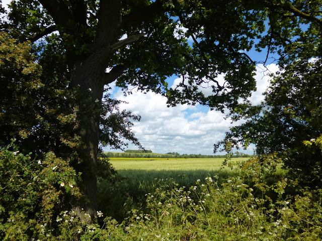 Countryside view