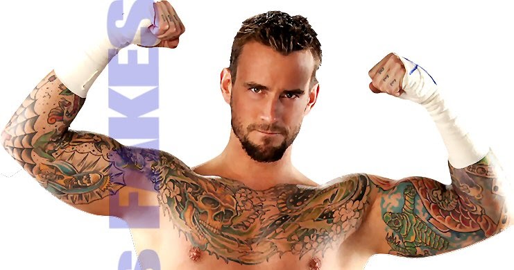 Mach's Fakes: CM Punk Nude Fake