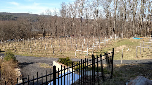 Winery «Bashakill Vineyards», reviews and photos, 1131 S Rd, Wurtsboro, NY 12790, USA