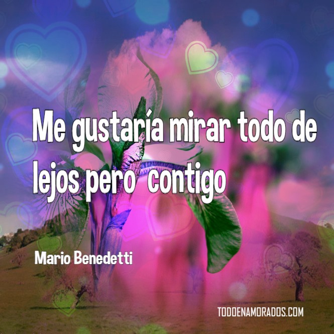 [MARIO++BENEDETTI++1%5B2%5D]