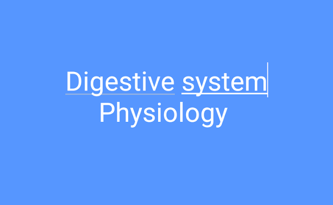 Physiology, digestive system 