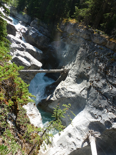 Jasper. Cañón Maligne, lagos Medicine, Maligne,  Patricia y Pyramid. 6 de Julio - LAS ROCOSAS DE CANADA. YELLOWSTONE Y GRAND TETON. (6)