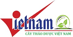 THẢO DƯỢC VIỆT NAM