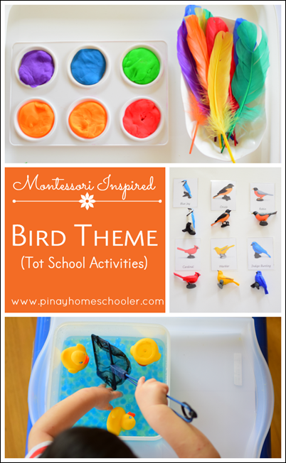 BirdThemeTotSchoolPIN