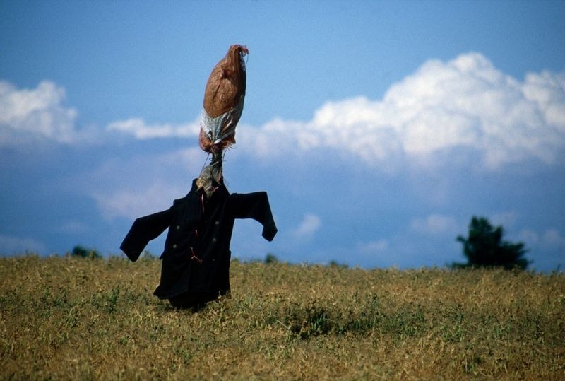 colin-garratt-scarecrows-1