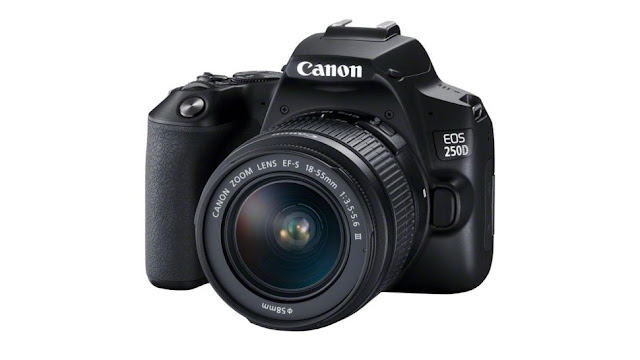 2021'deki en iyi Canon kamera: Canon'un DSLR, aynasız ve kompakt kameraları