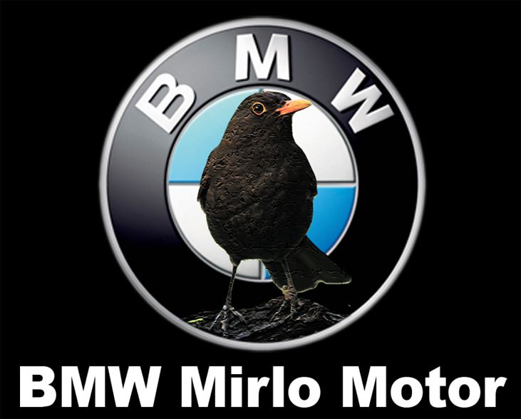 BMW-Mirlo_Motor.jpg