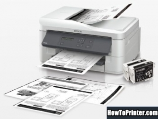 Reset Epson K300 printer use Epson reset software