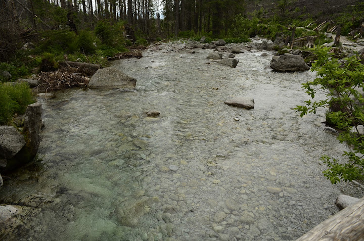Татры, июнь 2015. с собакой