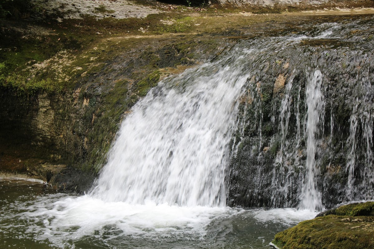 Les cascades du herrisson - Page 2 IMG_3301