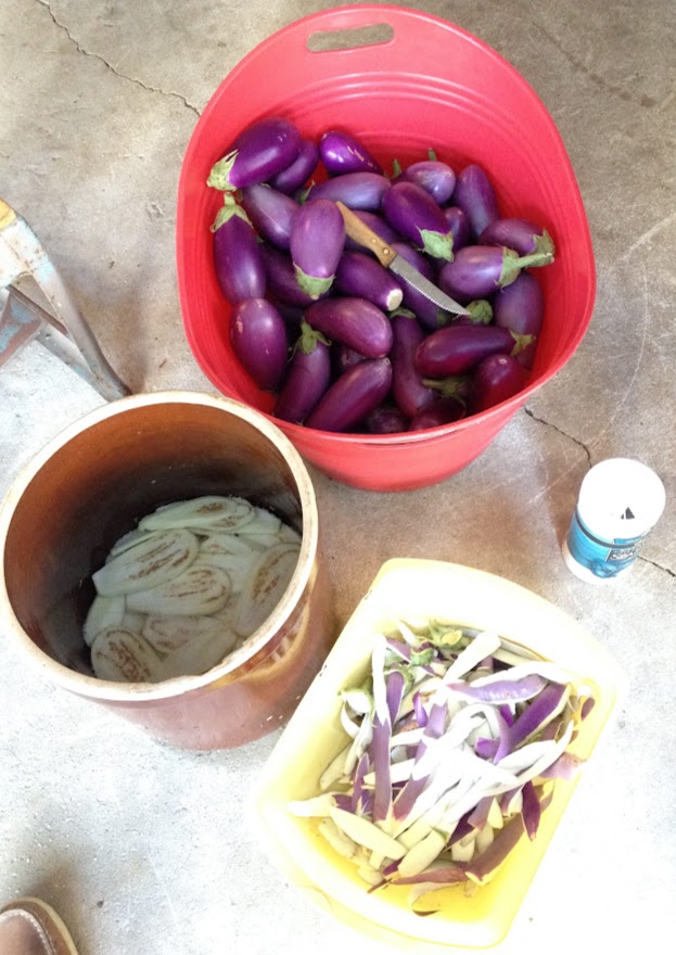 Pickled Eggplant (Melanzane Sott’Olio)