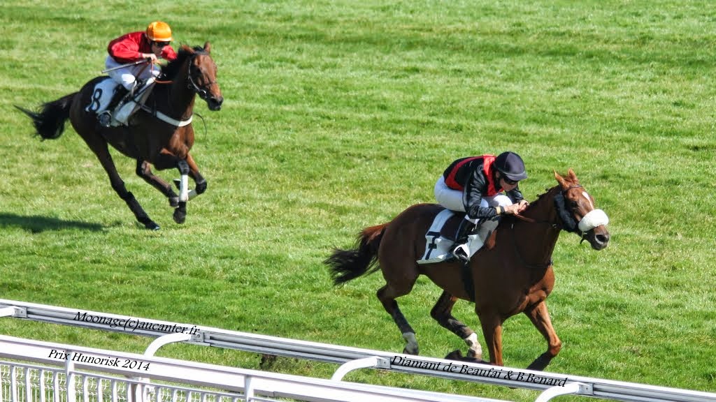 Photos Auteuil le 27-09-2014 IMG_4340