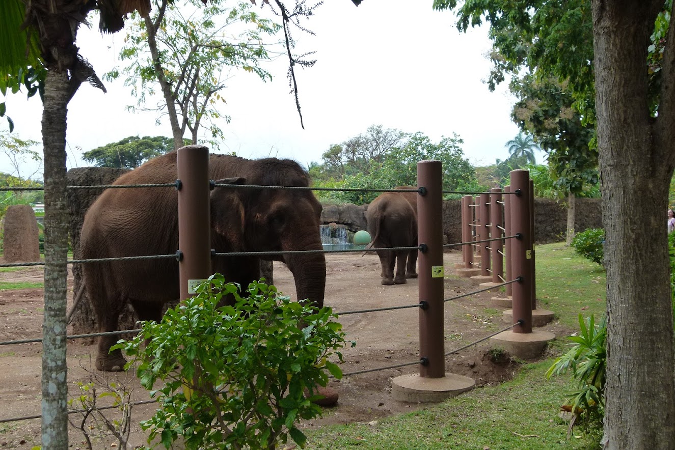 Honolulu Zoo