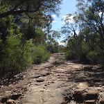 Rocky section of the Old Great north walk east of 3 Mile trail (230647)