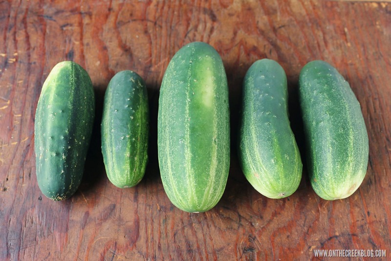 Cucumbers