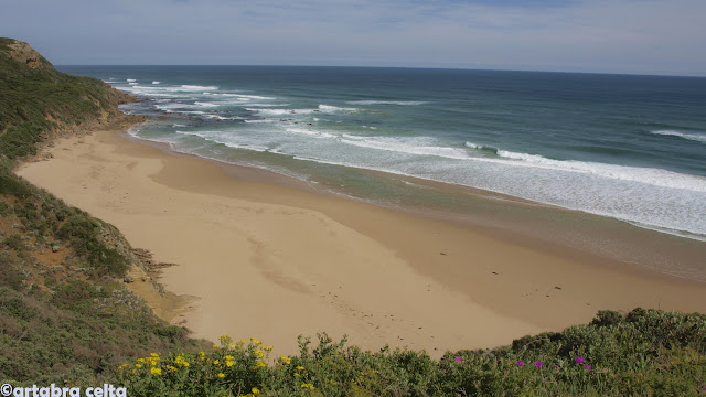 GREAT OCEAN ROAD - AUSTRALIA: UNA AVENTURA DE CONTRASTES (3)