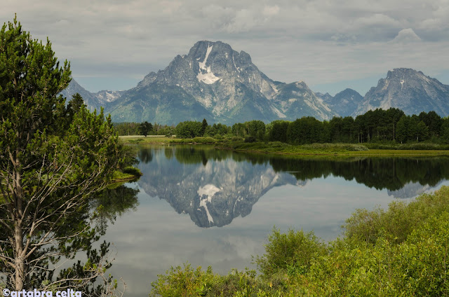 GRAND TETON NATIONAL PARK (WYOMING, USA), Naturaleza-USA (12)