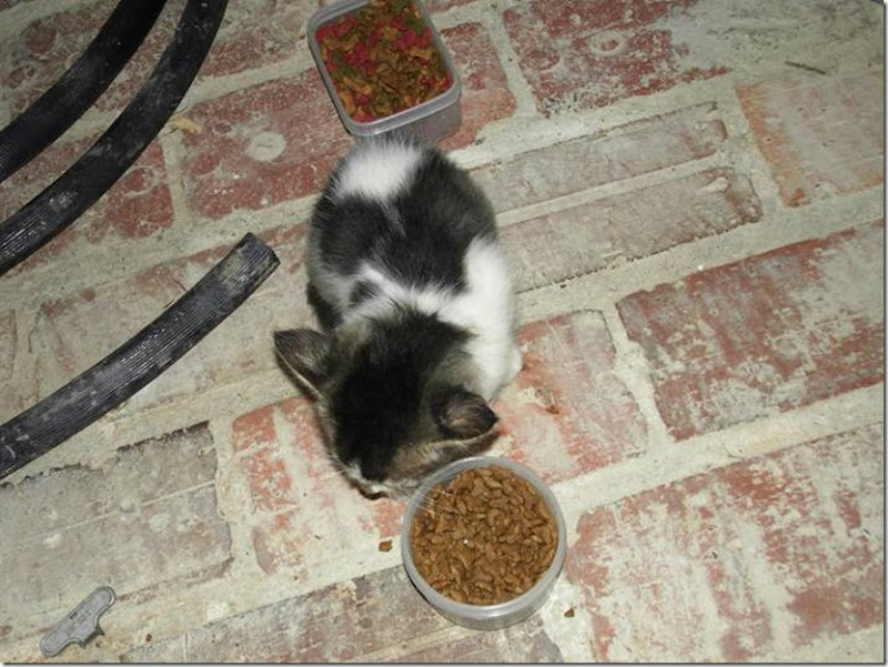 clip_image026