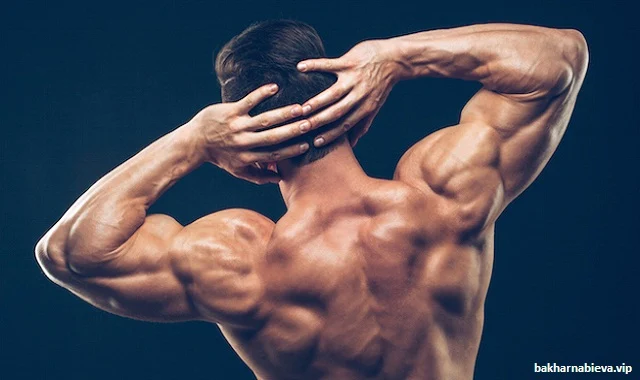 Exercises that will Help You Build Shoulders Like Boulders