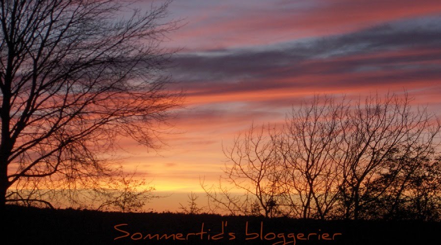 ~  Sommertids Bloggerier  ~