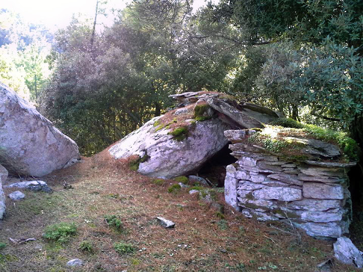 tiny barn to keep a goat