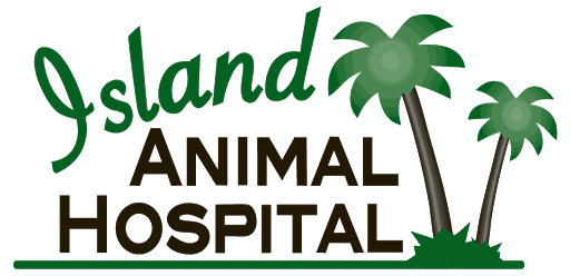 Island Animal Hospital in Merritt Island logo