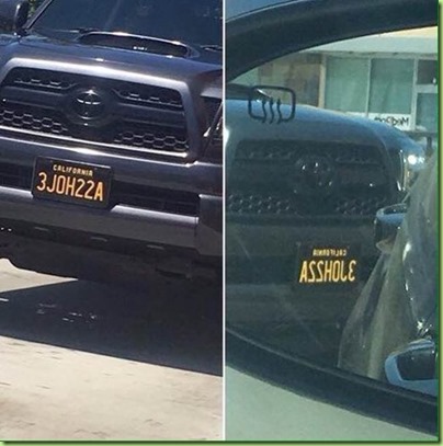 mirror image license asshole