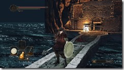 DarkSoulsII 2016-12-31 23-19-35-54