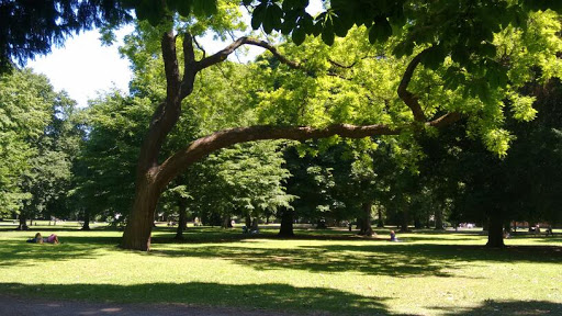 Stadtgarten