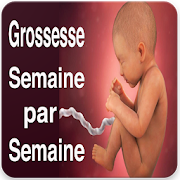 Grossesse Evolution  Icon