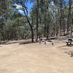 Willis Camping Area