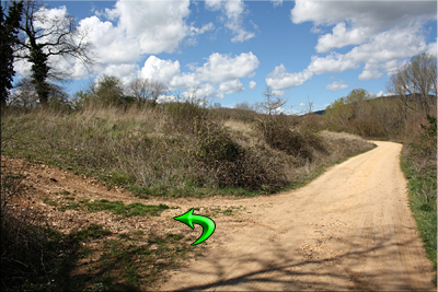 Abandonamos la pista