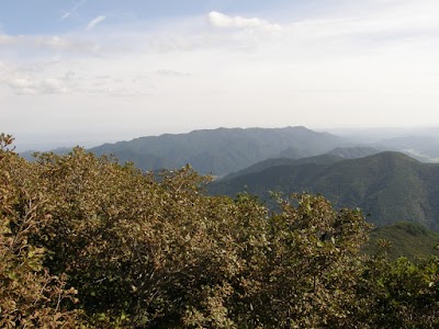 Photos of 그랜드모텔